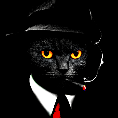 Black Cat PFP 11 - Free profile picture
