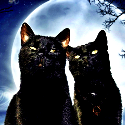 Black Cat PFP 17 - Free profile picture