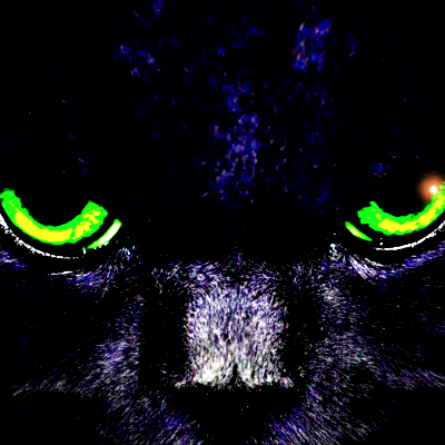 Black Cat PFP 18 - Free profile picture