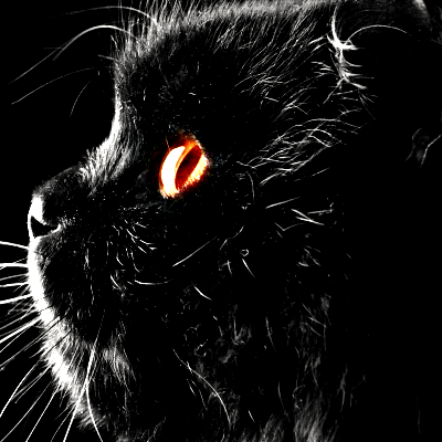 Black Cat PFP 6 - Free profile picture