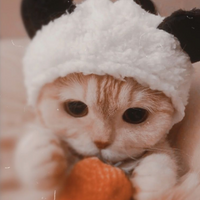 Cat PFP 1 - Free profile picture