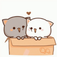 Cat PFP 47 - Free profile picture