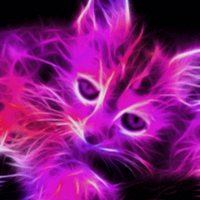 Cat PFP 49 - Free profile picture
