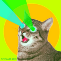 Cat PFP 50 - Free profile picture