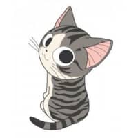 Cat PFP 53 - Free profile picture