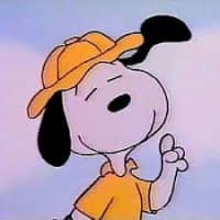 Dog PFP 1 - Free profile picture