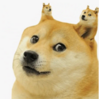 Dog PFP 15 - Free profile picture