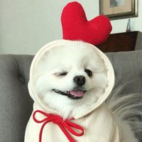 Dog PFP 7 - Free profile picture