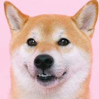 Dog PFP 8 - Free profile picture