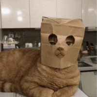 Funny PFP 36 - Free profile picture