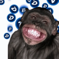 Monkey PFP 16 - Free profile picture