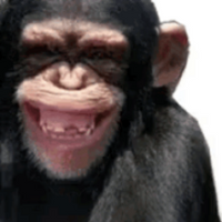 Monkey PFP 18 - Free profile picture
