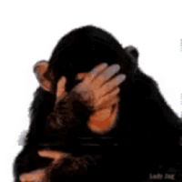 Monkey PFP 19 - Free profile picture