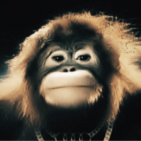 Monkey PFP 20 - Free profile picture