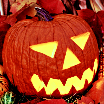 Pumpkin PFP 7 - Free profile picture