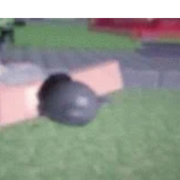 Roblox PFP 38 - Free profile picture