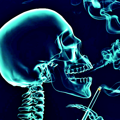 Skeleton PFP 13 - Free profile picture