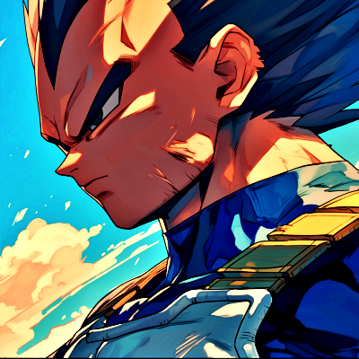Vegeta PFP 19 - Free profile picture
